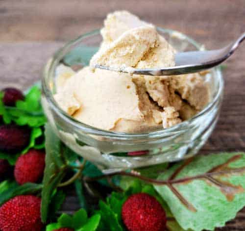 Low Carb Eggnog Icecream Recipe.