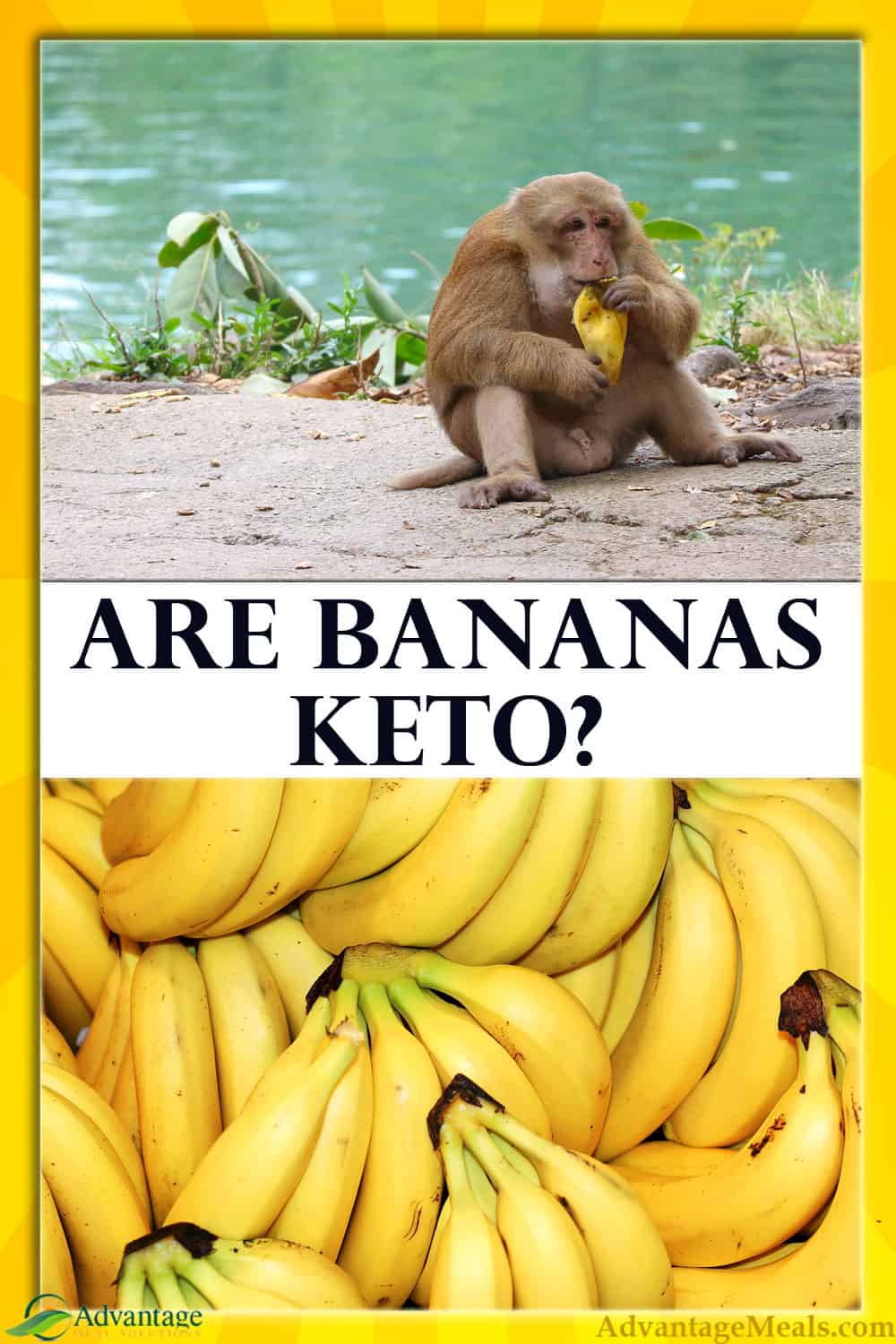 Are Bananas Keto Friendly The Keto Diet Bananas are-bananas-keto-friendly-the-keto-diet-bananas