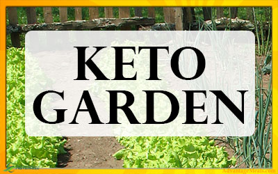 Planting a Keto Diet Garden? – Best Keto Vegetables