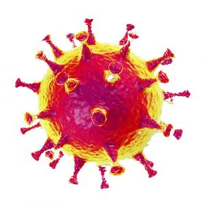 A picture of a virus cell
