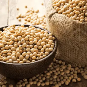 Image of Soybeans that are used to make Nattokinase for the keto diet.